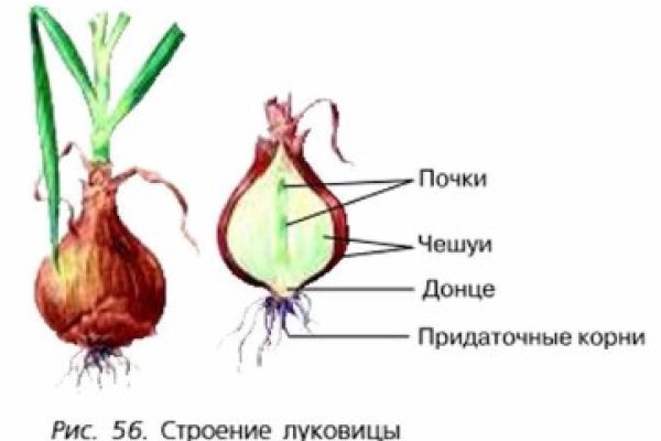 Омг тор зайти через комп